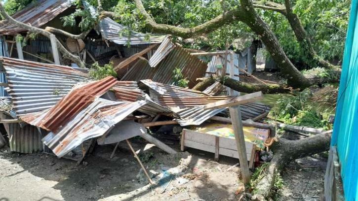 ঈশ্বরগঞ্জে ঝড়ে শতাধিক ঘরবাড়ি বিধ্বস্ত, গাছপালার ব্যাপক ক্ষতি