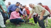 বজ্রপাত নিরোধে সিলেটে ৫০০ তালগাছের চারা রোপণ