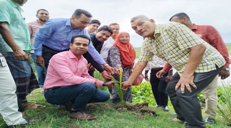 বজ্রপাত নিরোধে সিলেটে ৫০০ তালগাছের চারা রোপণ