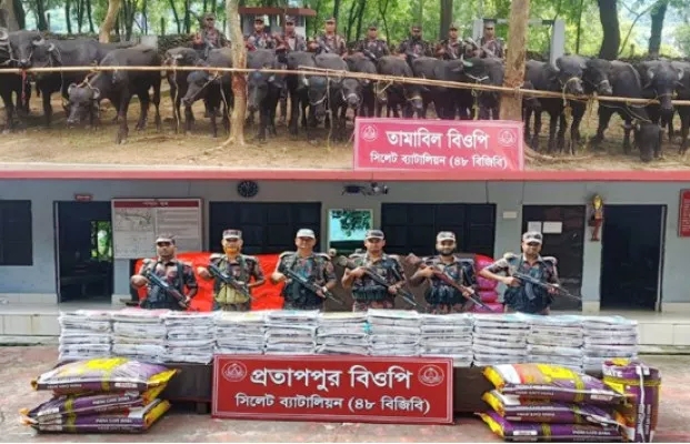 সিলেটে সীমান্তে সোয়া কোটি টাকার ভারতীয় চোরাই পণ্য জব্দ