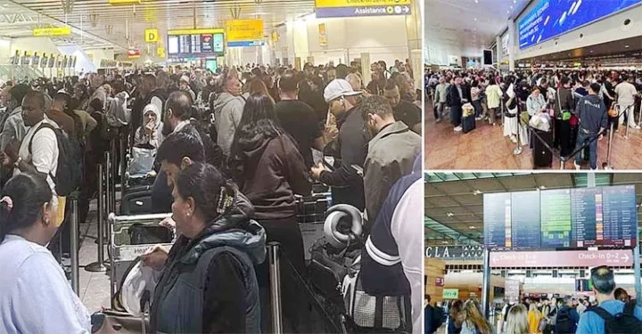 ইউরোপজুড়ে বিমানবন্দরে সাইবার হামলার পর শত শত ফ্লাইট বাতিল