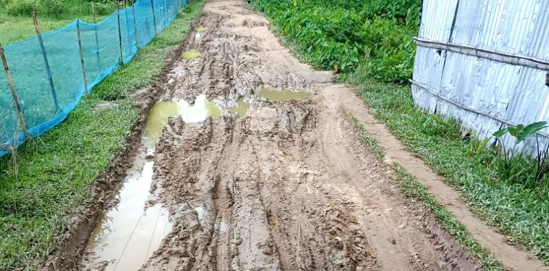 কমলগঞ্জে কর্দমাক্ত কাঁচা সড়কে চরম দুর্ভোগে গ্রামবাসী