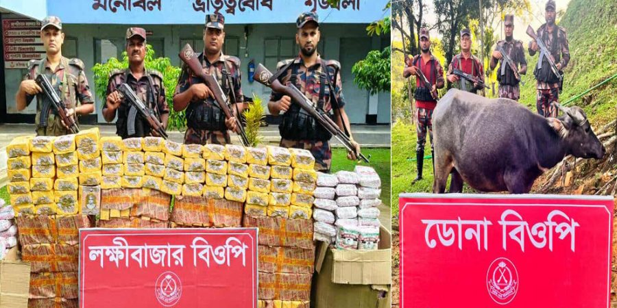 সিলেট সীমান্তে ভারতীয় বিড়ি, চিনি ও মহিষ আটক