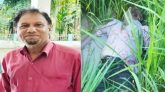জকিগঞ্জে নিখোঁজের ৩ দিন পর ধানক্ষেতে মিলল লাশ