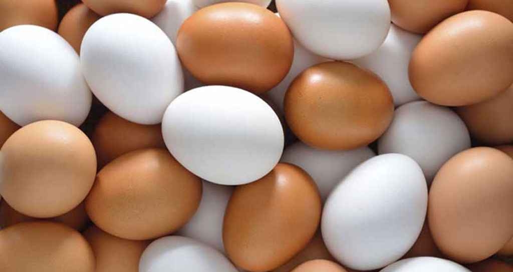 আজ বিশ্ব ডিম দিবস