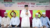 দেশে নতুন করে আর কাউকে স্বৈরাচার হতে দেয়া  হবেনা : মাওলানা হাবিব