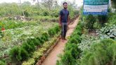 কমলগঞ্জের নার্সারী শিল্প : প্রকৃতিতে অক্সিজেন যোগানোর অদম্য কারখানা
