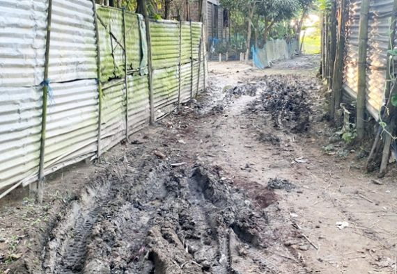 কমলগঞ্জে গ্রামীণ সড়কের বেহাল দশা, নাগরিক ভোগান্তি