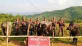 সিলেট সীমান্তে ১৬ লাখ টাকার ভারতীয় গরু-মহিষ আটক
