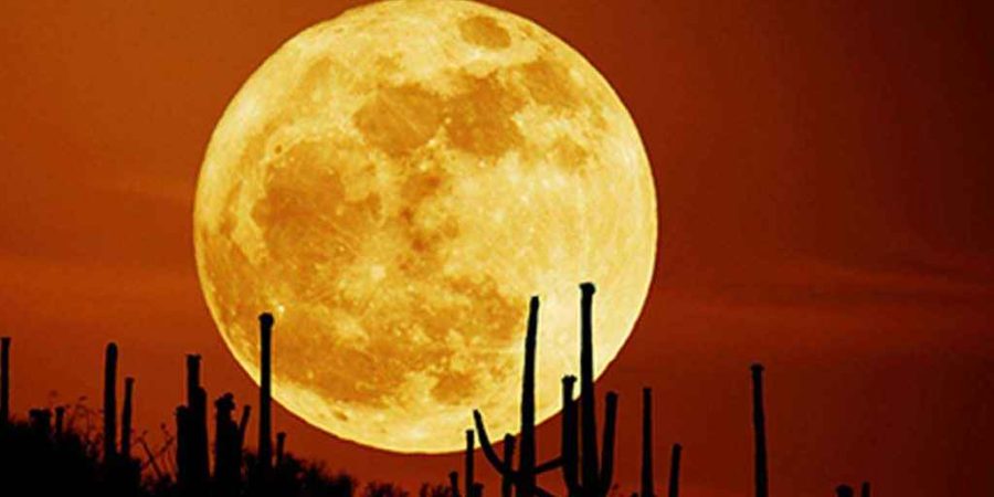 চলতি বছরের প্রথম সুপার মুন দেখা যাবে যেদিন