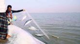 ৪ অক্টোবর থেকে ইলিশ ধরা বন্ধ