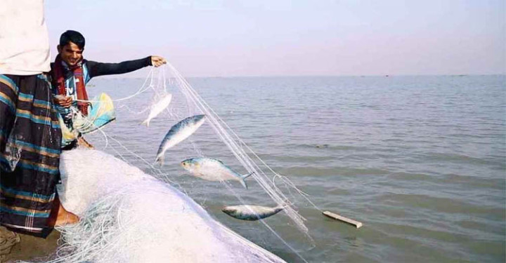 ৪ অক্টোবর থেকে ইলিশ ধরা বন্ধ