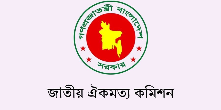 জুলাই সনদের অঙ্গীকারনামার পঞ্চম দফা সংশোধন করা হয়েছে : আলী রীয়াজ