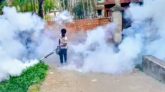 টানা তিন মাস মশক নিধন অভিযান চালাবে সিসিক