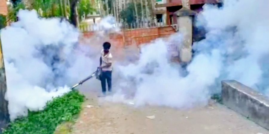 টানা তিন মাস মশক নিধন অভিযান চালাবে সিসিক