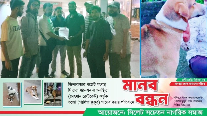 সিলেটে বাচ্চাসহ কুকুর নিখোঁজ, সন্ধান দাবিতে মানববন্ধনের আয়োজন