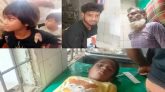 হবিগঞ্জে পাগলা কুকুরের কামড়ে শিশুসহ আহত ১৫