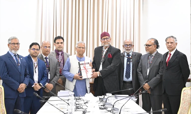 বিডিআর হত্যাকাণ্ডে জড়িত আওয়ামী লীগ, মূল সমন্বয়কারী তাপস : কমিশন