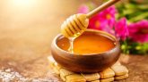 শীতে মধু খাওয়ার উপকারিতা ও সতর্কতা