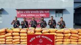 হবিগঞ্জে ৭৪ লাখ টাকার ভারতীয় চোরাচালান পণ্য জব্দ
