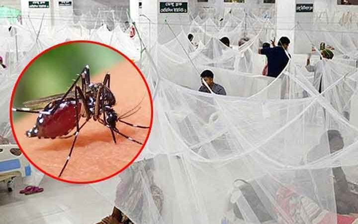 ডেঙ্গুতে আরও ৬ জনের মৃত্যু, হাসপাতালে ভর্তি ১১৯৫