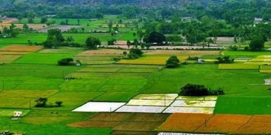 ভূমি আইনে আসছে বড় পরিবর্তন, এক ভুলে জমি হয়ে যাবে সরকারের!