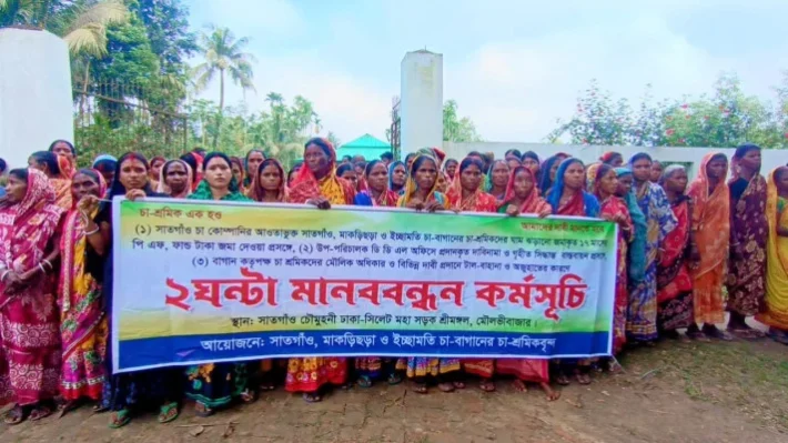 বকেয়া প্রভিডেন্ট ফান্ডের দাবিতে শ্রীমঙ্গলে চা শ্রমিকদের কর্মবিরতি ও মানববন্ধন