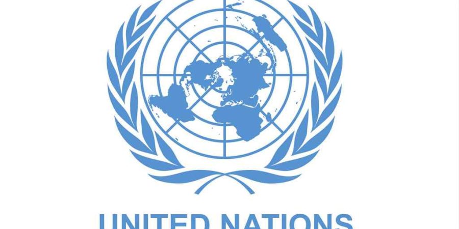 পাঁচ গুণেরও বেশি টাকা দিয়ে মালয়েশিয়ায় গিয়ে প্রতারিত বাংলাদেশিরা, জাতিসংঘের উদ্বেগ