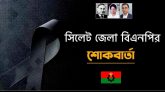 এডভোকেট আল আসলাম মুমিনের ভাইয়ের মৃত্যুতে সিলেট জেলা বিএনপির শোক