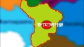 জামালগঞ্জে টিনের বান্ডিল পড়ে যুবকের মৃত্যু, আহত ৩