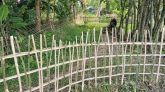কমলগঞ্জে যাতায়াতের রাস্তায় চলাচলে বাঁধা, প্রতীকার দাবি