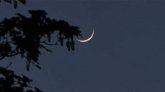দেশের আকাশে রজব মাসের চাঁদ দেখা গেছে