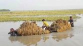 এবার বীমার আওতায় আসছে কৃষকের ফসল