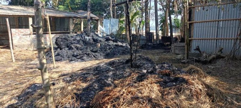 দোয়ারাবাজারে কৃষকের খড়ের গাদায় আগুন, ৩টি গরু পুড়ে ছাই