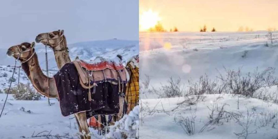 সৌদি আরবে বিরল তুষারপাত, ভিডিও ভাইরাল