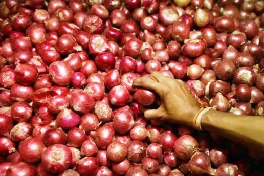 পেঁয়াজের দাম নিয়ে বড় সুখবর