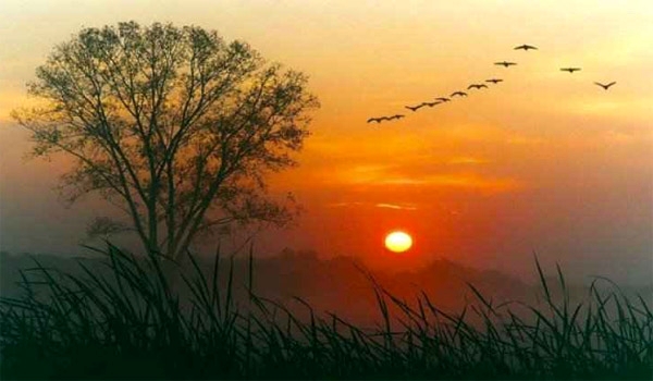 বিদায় ২০২৫, স্বাগতম ২০২৬