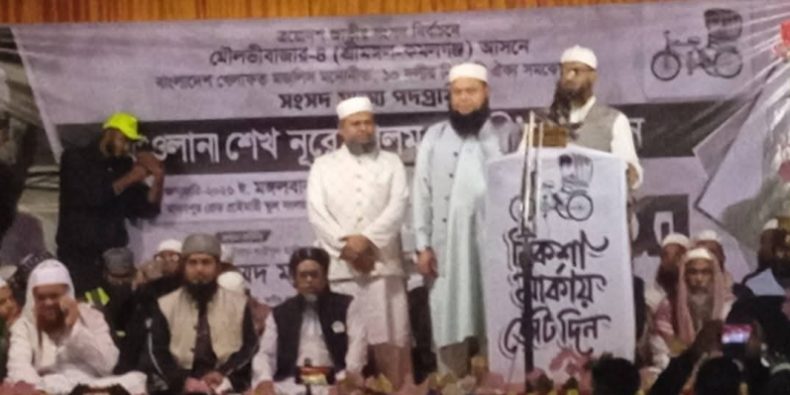 দূর্ণীতিমুক্ত ইনসাফ, ন্যায় ভিত্তিক বাংলাদেশ গড়তে চাই : মামুনুল হক