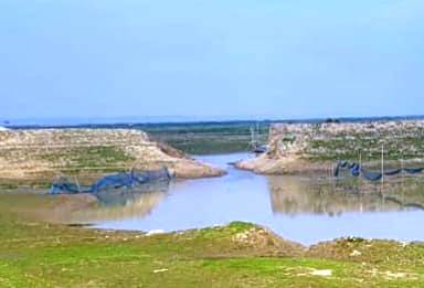 শান্তিগঞ্জে দেখার হাওরে ফসল রক্ষা বাঁধ নিয়ে শঙ্কায় কৃষকরা