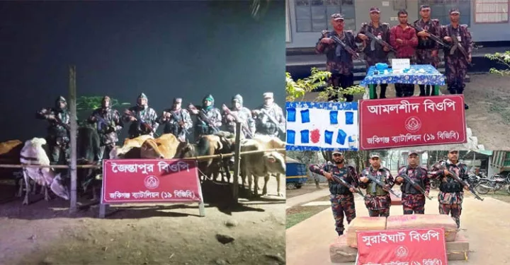 সিলেট সীমান্তে ইয়াবা ট্যাবলেট ও পশু জব্দ, আটক ১