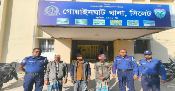 গোয়াইনঘাটে তিন ট্রাক অবৈধ বালু জব্দ, আটক ৩