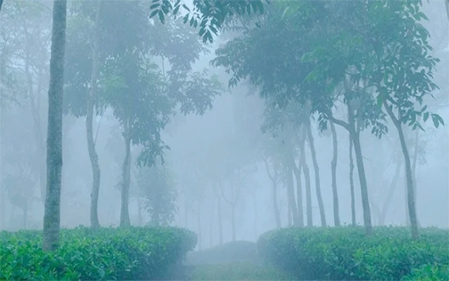 শ্রীমঙ্গলে দেশের সর্বনিম্ন তাপমাত্রা