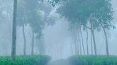 দেশের চার জেলায় শৈত্যপ্রবাহ অব্যাহত