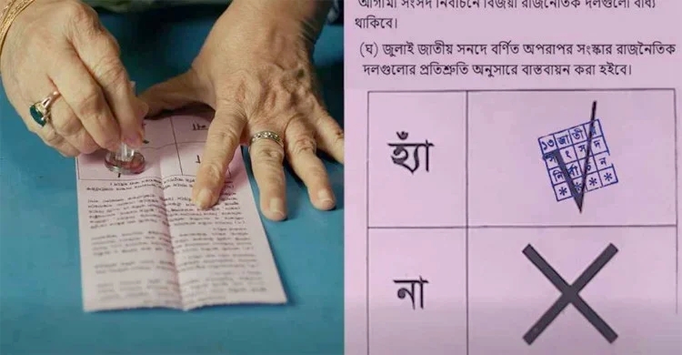 গণভোটে জিতলো ‘হ্যাঁ’, কী কী পরিবর্তন আসছে