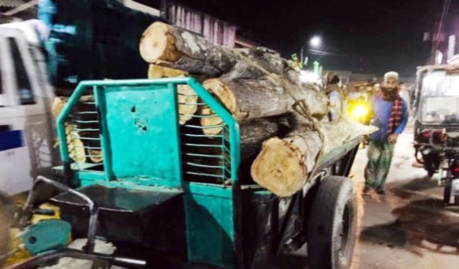 কমলগঞ্জে সড়কের পাশ থেকে ৯টি গাছ কেটে নিল দুর্বৃত্তরা