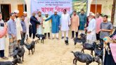 সিলেট মহানগর জামায়াতের ছাগল বিতরণ