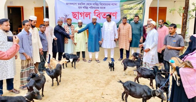 সিলেট মহানগর জামায়াতের ছাগল বিতরণ