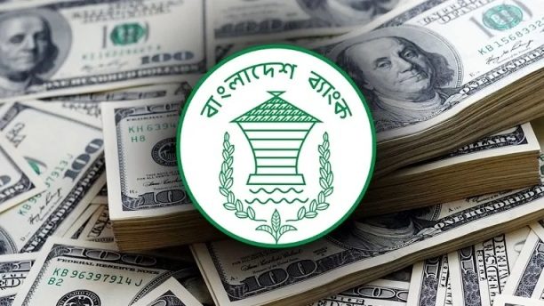 দেশের রিজার্ভ দাঁড়িয়েছে ৩৪ দশমিক ৫৩ বিলিয়ন ডলার