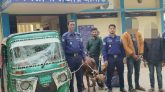 বিয়ানীবাজারে চোরাই গরুসহ সিএনজি জব্দ, গ্রেপ্তার ২