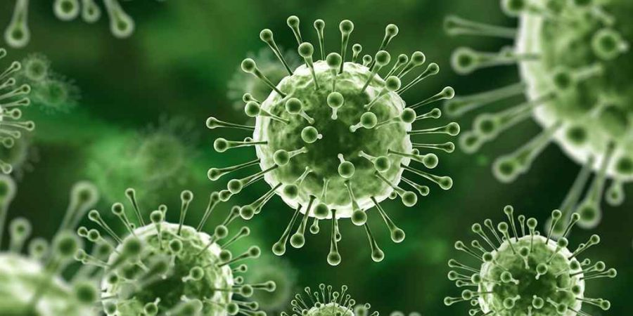 দেশে প্রাণঘাতী ভাইরাস শনাক্ত, বিজ্ঞানীদের সতর্কবার্তা